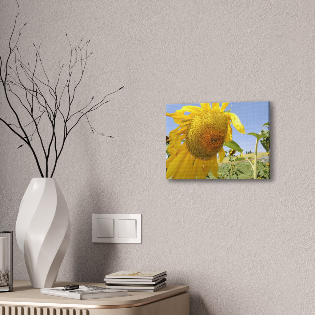 Sunflower Wall Art Canvas