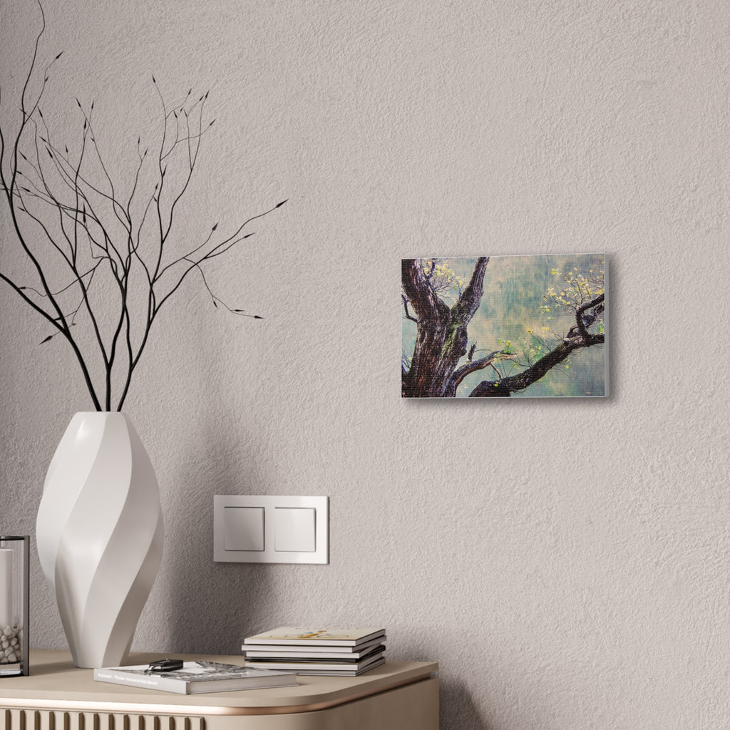 Tree Photography Wall Art