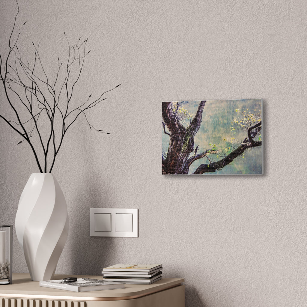 Tree Photography Wall Art