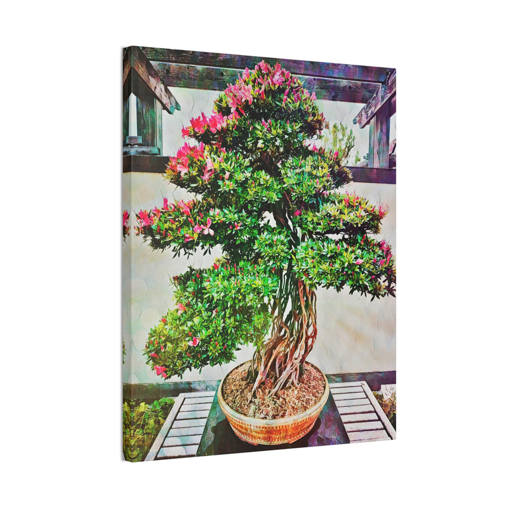 Bonsai Small Tree Canvas Art