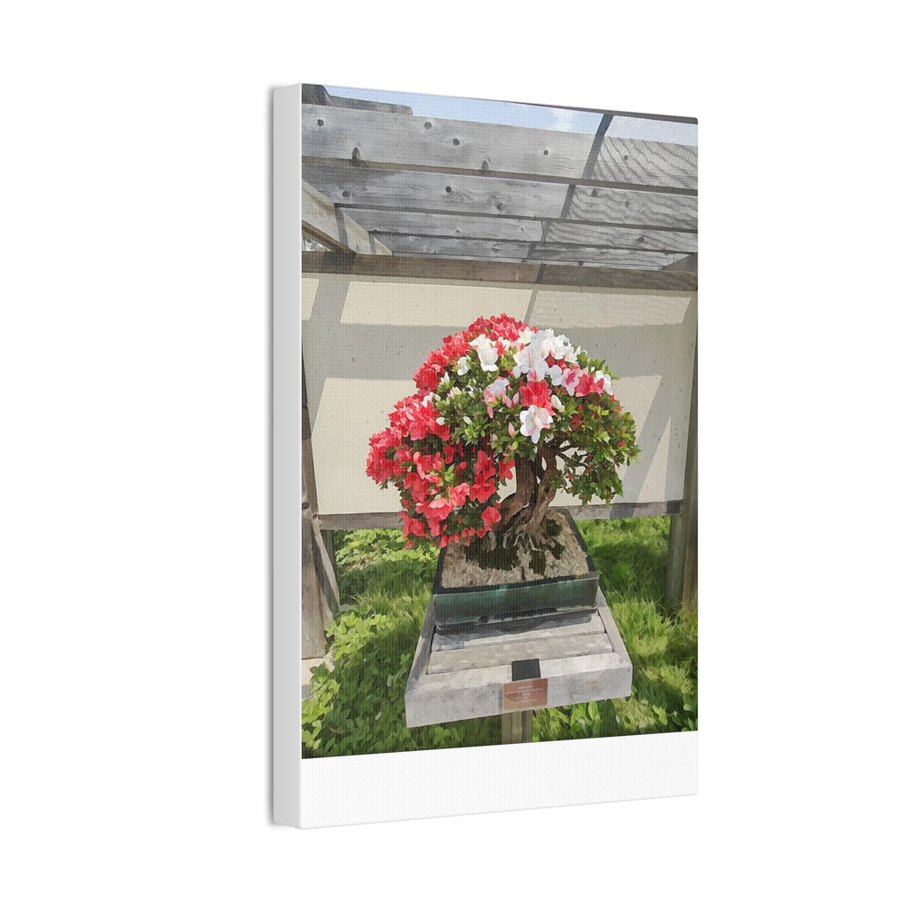 Bonsai Tree Red and White Canvas Wall Art
