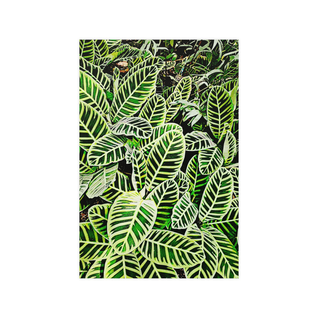 Plant Poster