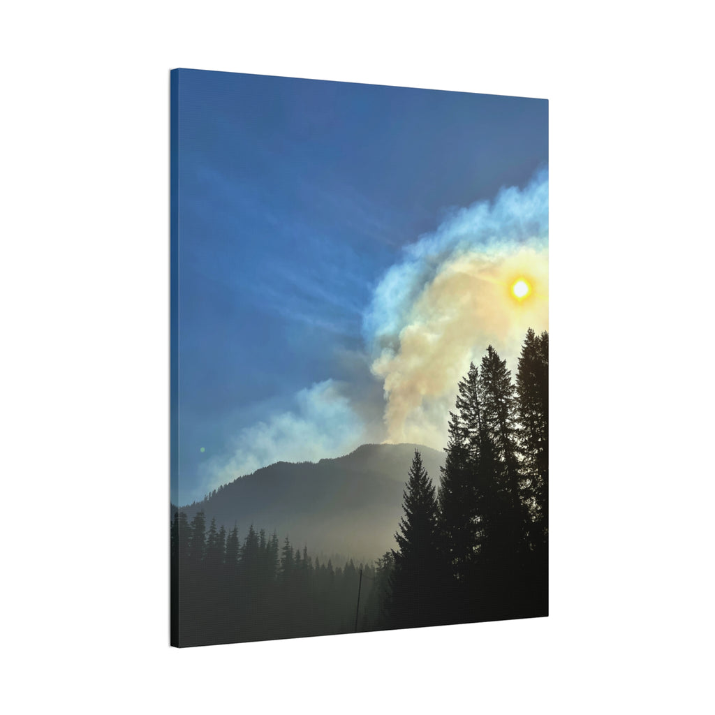 Forest and Sun Canvas Wall Art