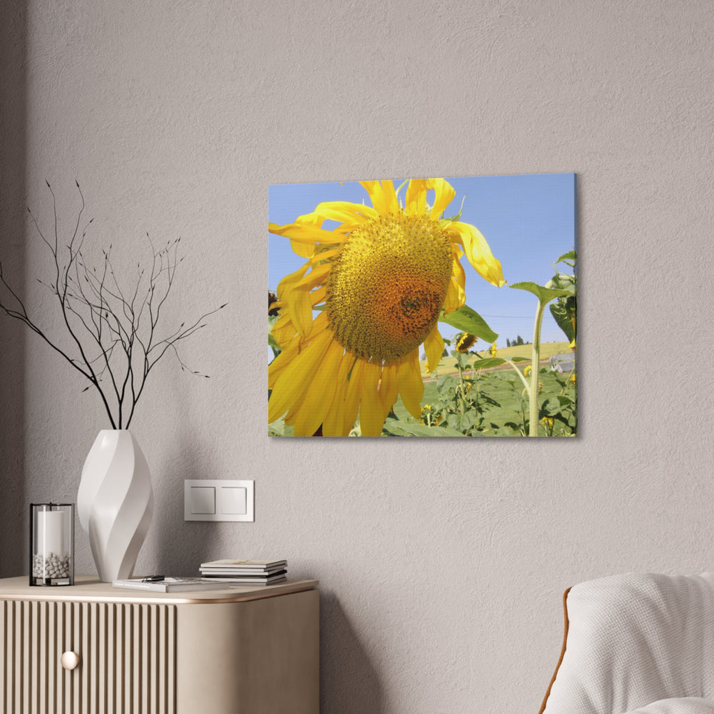 Sunflower Wall Art Canvas